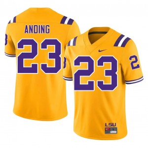 Gold Aidan Anding #23 Louisiana State Jersey | Men High School Football Moisture Wicking Embroidery 76256809
