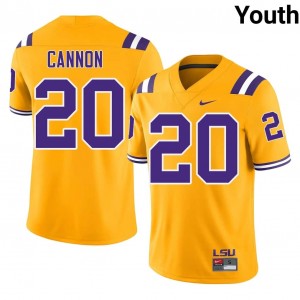 Elite Thread Billy Cannon #20 LSU Tigers Gold Jersey | Youth University Football Embroidery Fan Gear 66169566