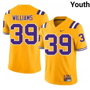 Top-Tier Lavonte Williams #39 Geaux Tigers Gold Jersey | Youth University Football Embroidery Fan Gear 25795543